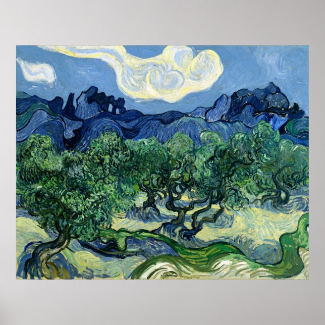 Vincent van Gogh's Olive Trees  Poster (Front)