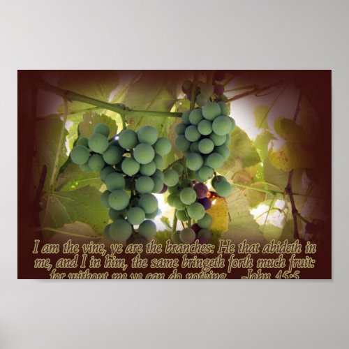 Vine and Branches John 155 Poster Print