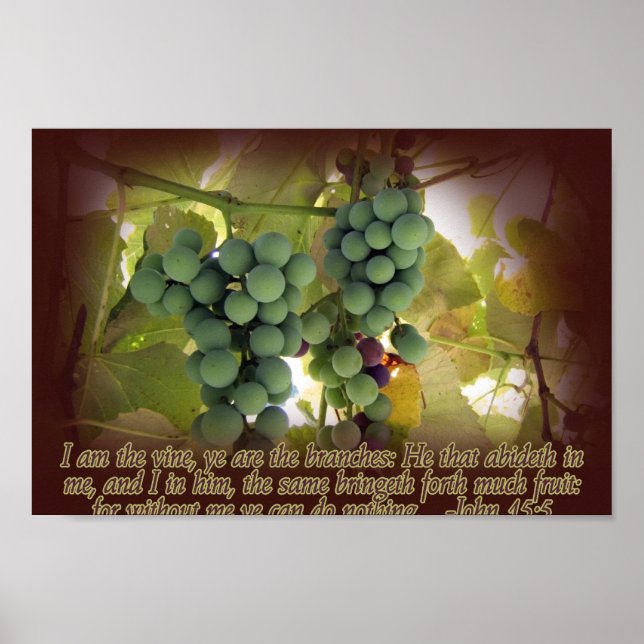 Vine and Branches John 15:5 Poster Print (Front)