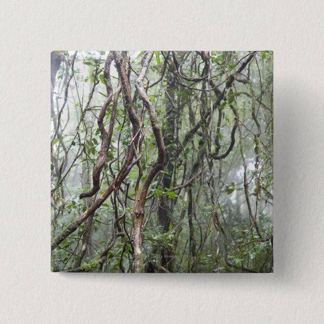 vine and branches twisted in rainforest pinback button (Front)