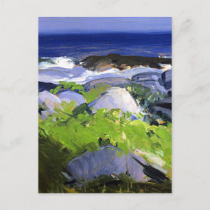 Vine Clad Shore, Monhegan Island, Maine,  Postcard