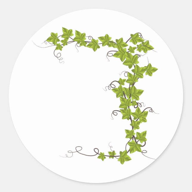 vine, green leaves classic round sticker (Front)