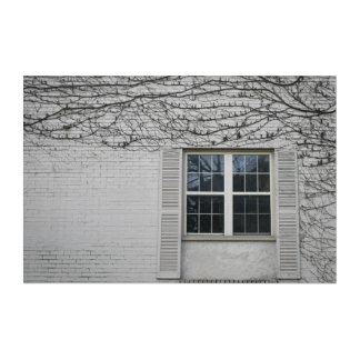 Vine Surrounding Window Acrylic Print