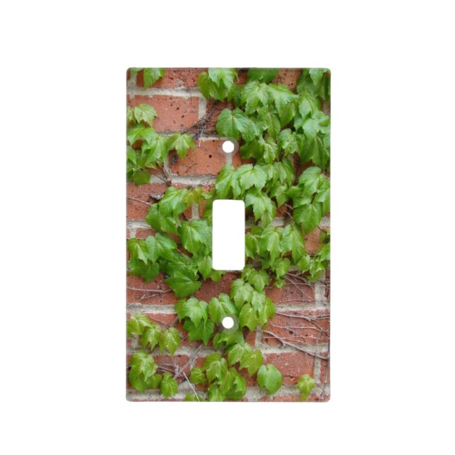 Vines and Brick Wall Light Switch Cover (Front)