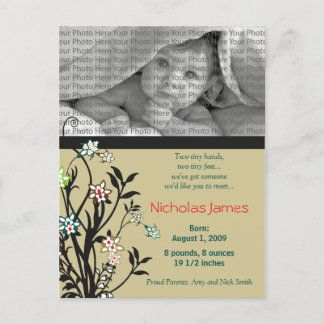 Viney Baby Birth Announcement Khaki Teal Postcard