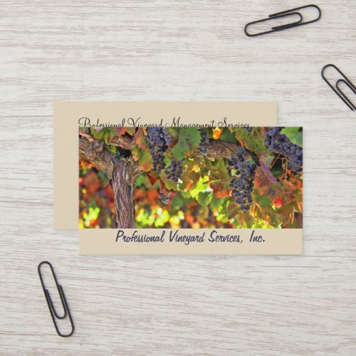 Vineyard and Harvest Services Business Cards