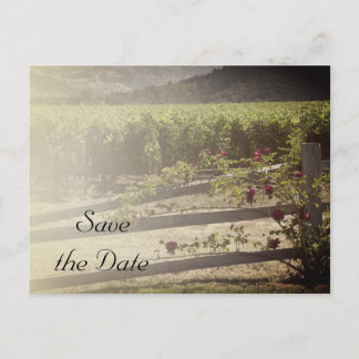 Vineyard and Rose Fence Wedding Save the Date Announcement Postcard