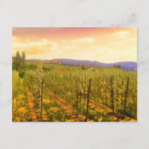 Vineyard at Dawn Kelowna British Columbia Canada Postcard