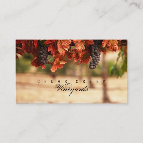 Vineyard Business Card