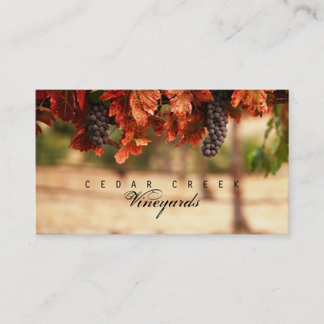 Vineyard Business Card (Front)