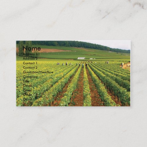 Vineyard Business Card
