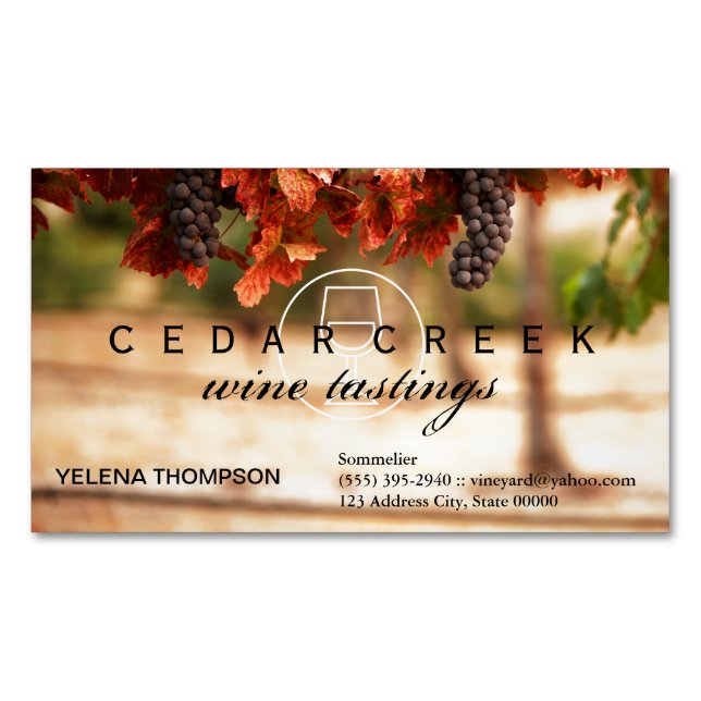 Vineyard Business Card Magnet (Front)