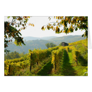 Vineyard Cards