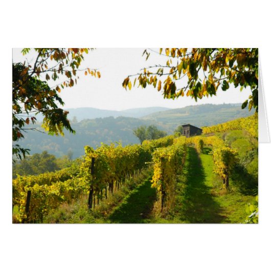 Vineyard Cards (Front Horizontal)