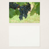 Vineyard Grapes (Front & Back)