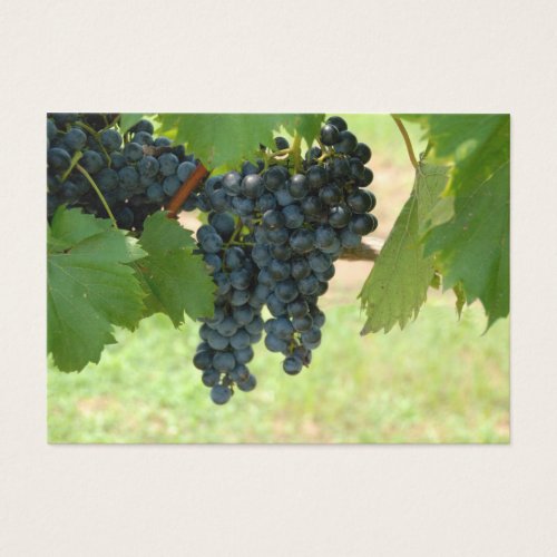 Vineyard Grapes Business Card Templates