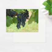 Vineyard Grapes (Desk)