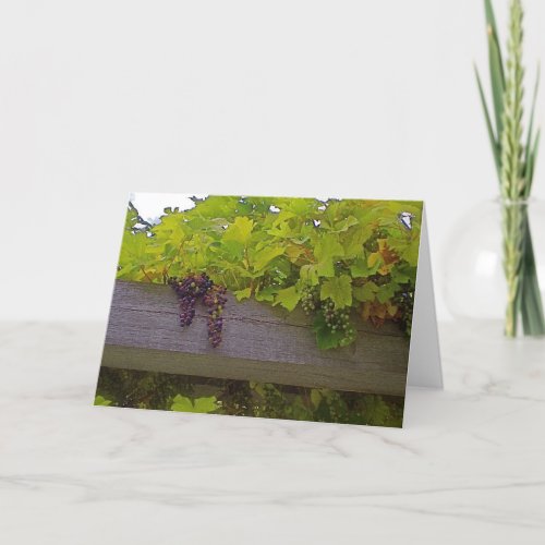 Vineyard Grapes Card