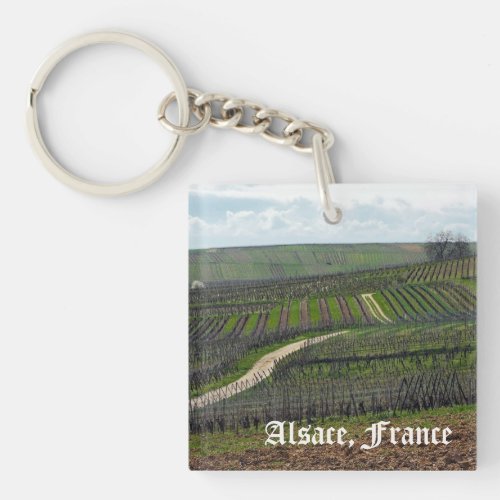 Vineyard in Alsace France Keychain