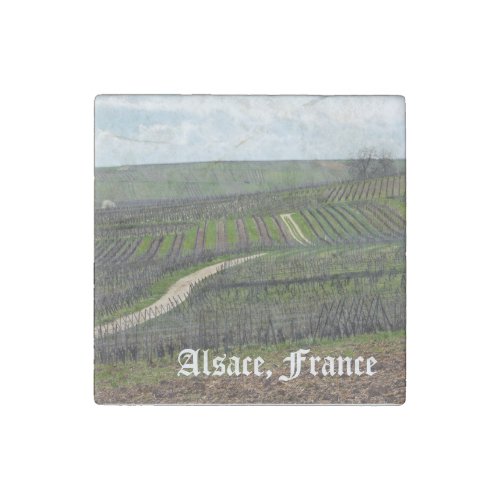 Vineyard in Alsace France Stone Magnet