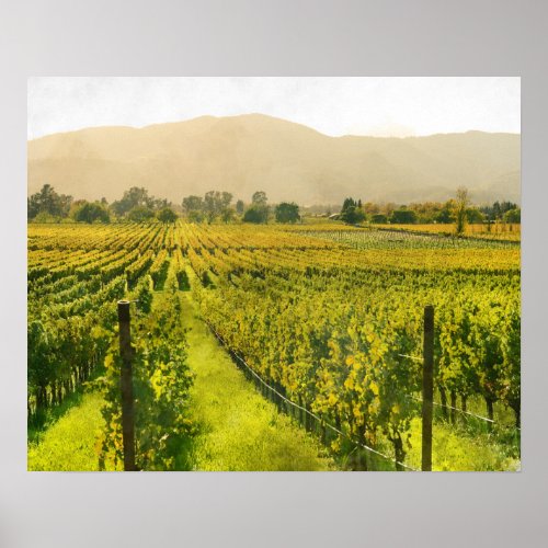 Vineyard in Autumn in Napa Valley California Poster