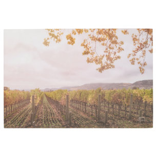 Vineyard in Autumn Metal Print