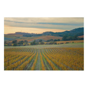Vineyard in Autumn Wood Wall Art