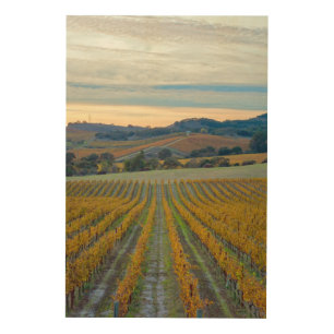 Vineyard in Autumn Wood Wall Art