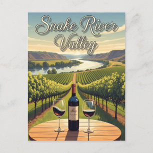 Vineyard in Idaho Snake River Valley Postcard