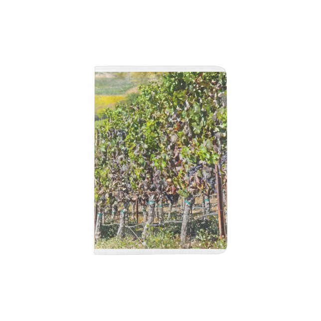 Vineyard in Napa Valley California Passport Holder (Front)