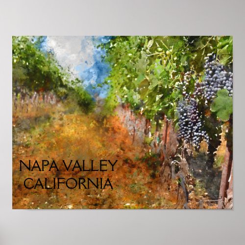 Vineyard in Napa Valley California Poster