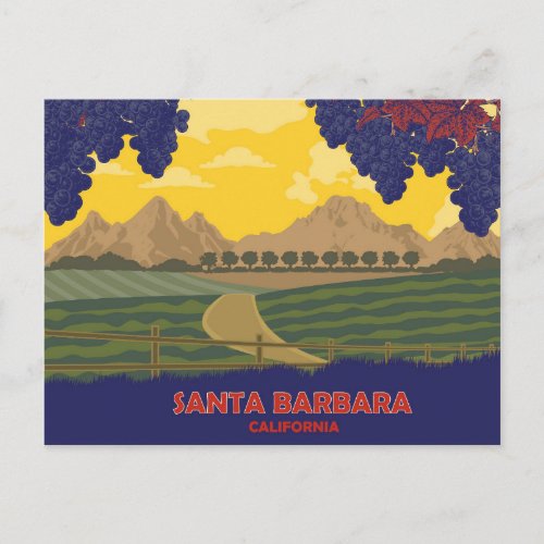 Vineyard in Santa Barbara California Postcard