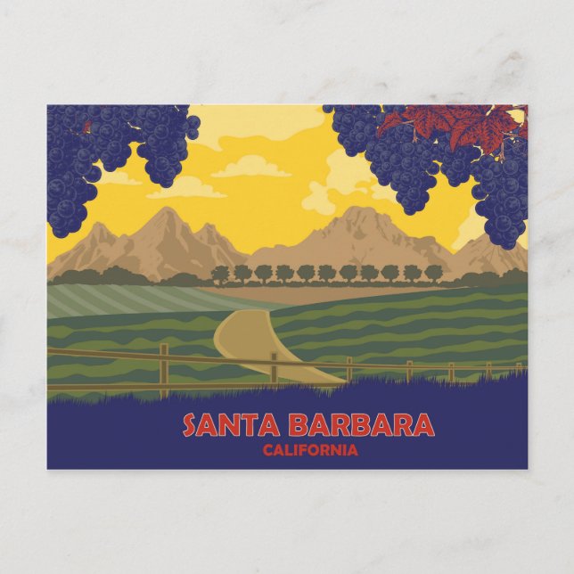 Vineyard in Santa Barbara, California Postcard (Front)