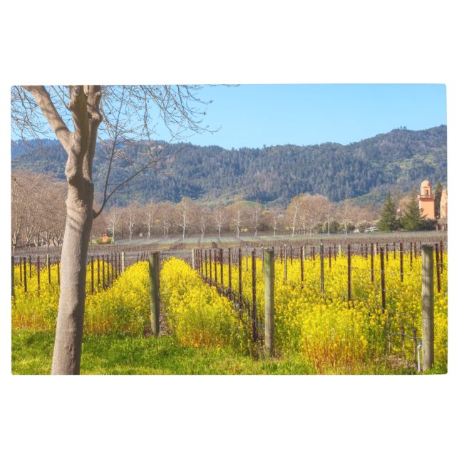 Vineyard in Spring Metal Print (Front)