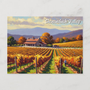 Vineyard in Virginia Shenandoah Valley Postcard