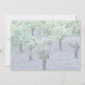 Vineyard, Napa Valley, California from the Forest (Back)