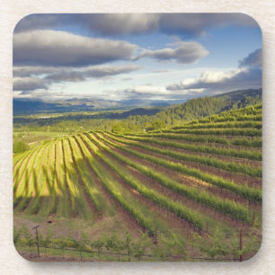 Vineyard. Napa Valley. Napa. Napa County, Beverage Coaster
