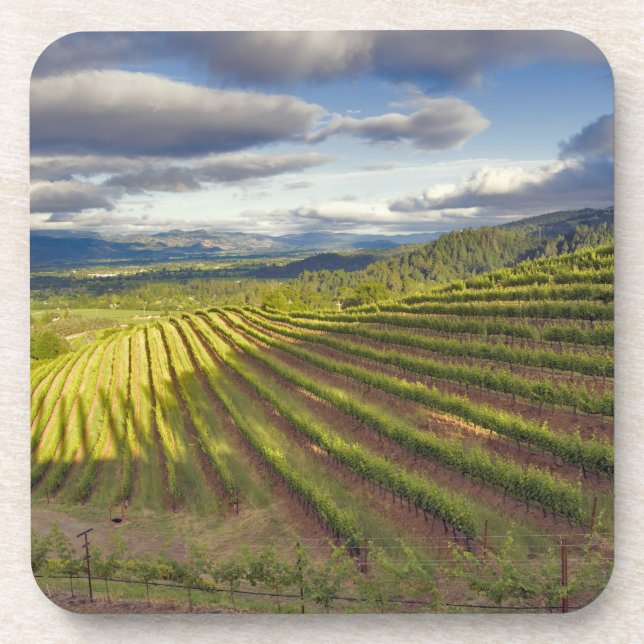 Vineyard. Napa Valley. Napa. Napa County, Beverage Coaster (Front)