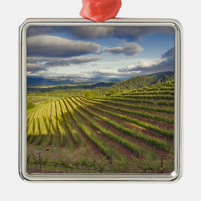 Vineyard. Napa Valley. Napa. Napa County, Metal Ornament (Front)
