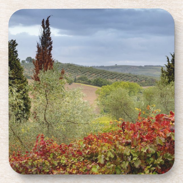 Vineyard near Montalcino, Tuscany, Italy Coaster (Front)