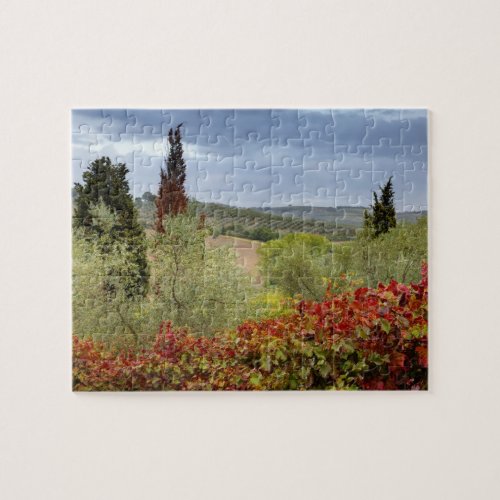 Vineyard near Montalcino Tuscany Italy Jigsaw Puzzle