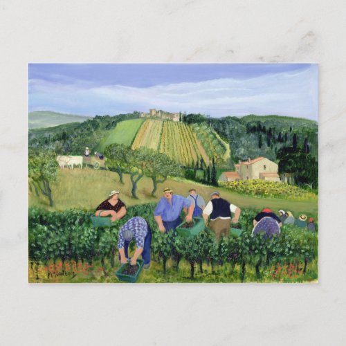 Vineyard Olives and Sunflowers Postcard