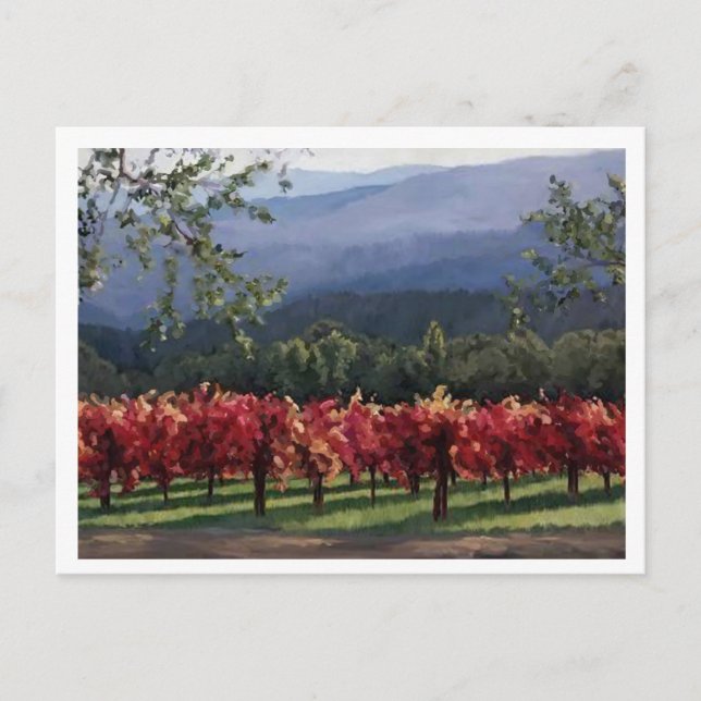 Vineyard Postcard (Front)