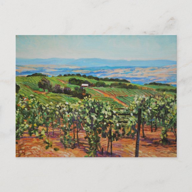 Vineyard Postcard (Front)