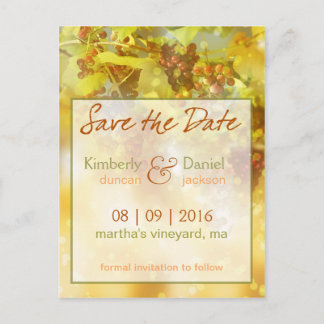 Vineyard Save the Date Postcard