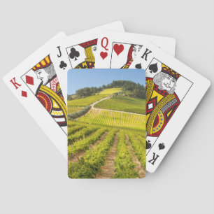 Vineyard, Stellenbosch, Western Cape Poker Cards
