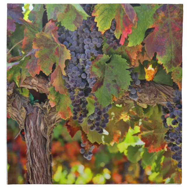 Vineyard Table Setting Cloth Napkins (Front)