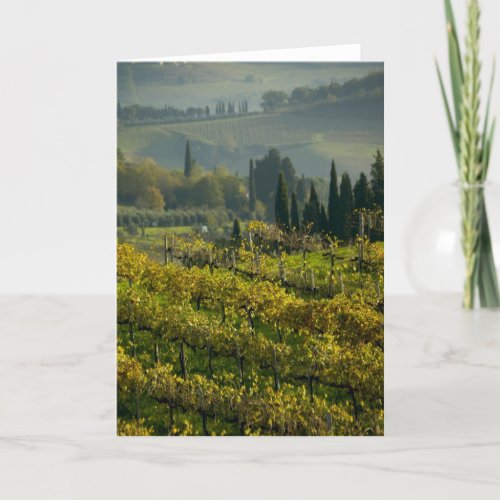 Vineyard Tuscany Italy Card