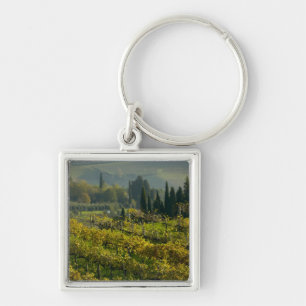 Vineyard, Tuscany, Italy Keychain