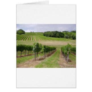 Vineyard - Vineyard (Bordeaux - France) 03 Cards